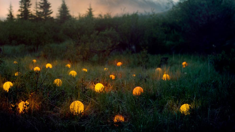 Illustration for article titled What Is The Meaning Of These Strange Glowing Shapes In The Wilderness?